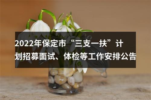 2022年保定市“三支一扶”计划招募面试、体检等工作安排公告 图片