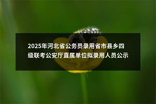 2025年河北省公务员录用省市县乡四级联考公安厅直属单位拟录用人员公示 图片