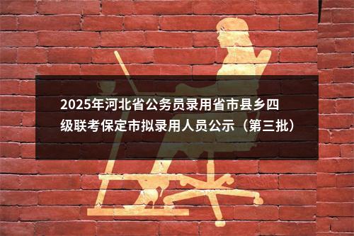 2025年河北省公务员录用省市县乡四级联考保定市拟录用人员公示（第三批） 图片