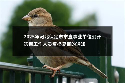 2025年河北保定市市直事业单位公开选调工作人员资格复审的通知 图片