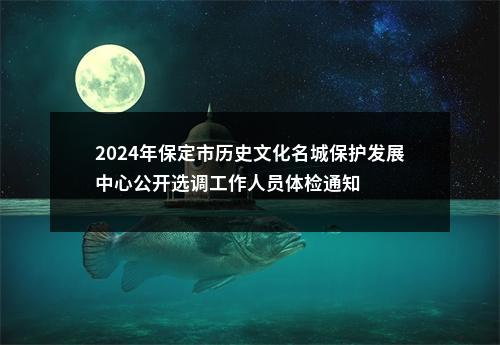 2024年保定市历史文化名城保护发展中心公开选调工作人员体检通知 图片