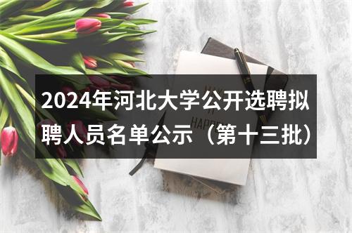 2024年河北大学公开选聘拟聘人员名单公示（第十三批） 图片