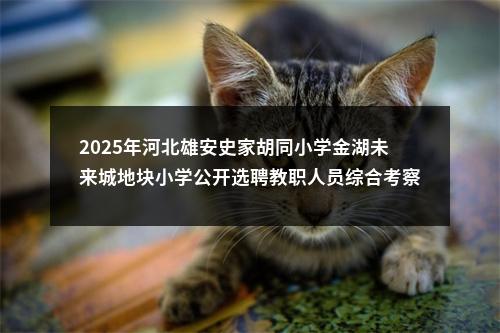2025年河北雄安史家胡同小学金湖未来城地块小学公开选聘教职人员综合考察通知 图片