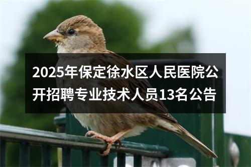 2025年保定徐水区人民医院公开招聘专业技术人员13名公告 图片