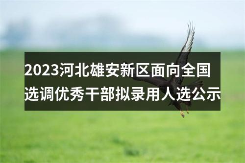 2023河北雄安新区面向全国选调优秀干部拟录用人选公示 图片